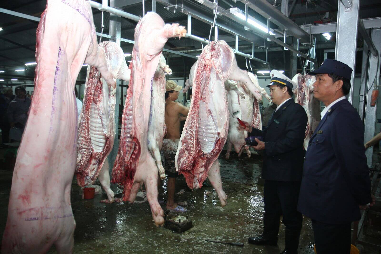 Đề nghị trại chăn nuôi, giết mổ báo cáo thực hiện công trình bảo vệ môi trường