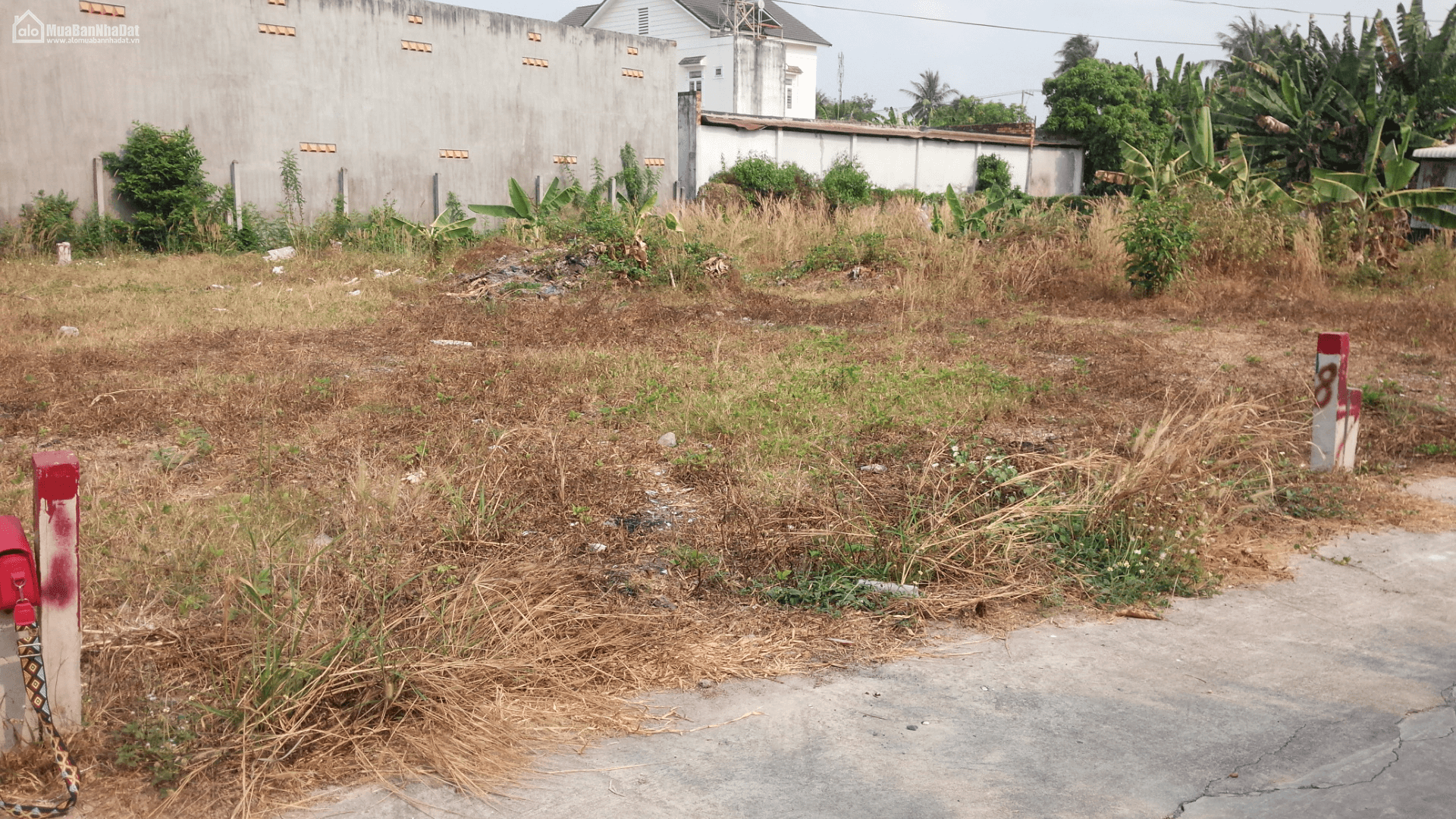 Sốt đất Tây Ninh đã hạ nhiệt 1