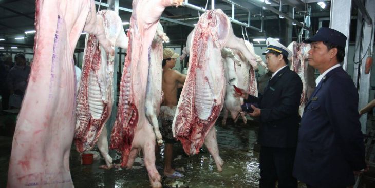 Đề nghị trại chăn nuôi, giết mổ báo cáo thực hiện công trình bảo vệ môi trường