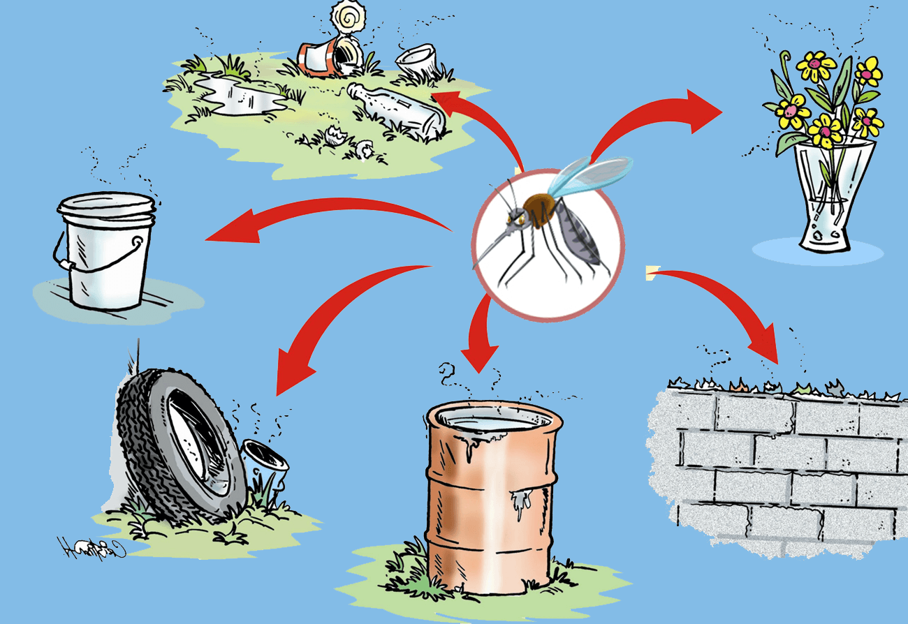 Những bệnh thường gặp vào mùa mưa 2