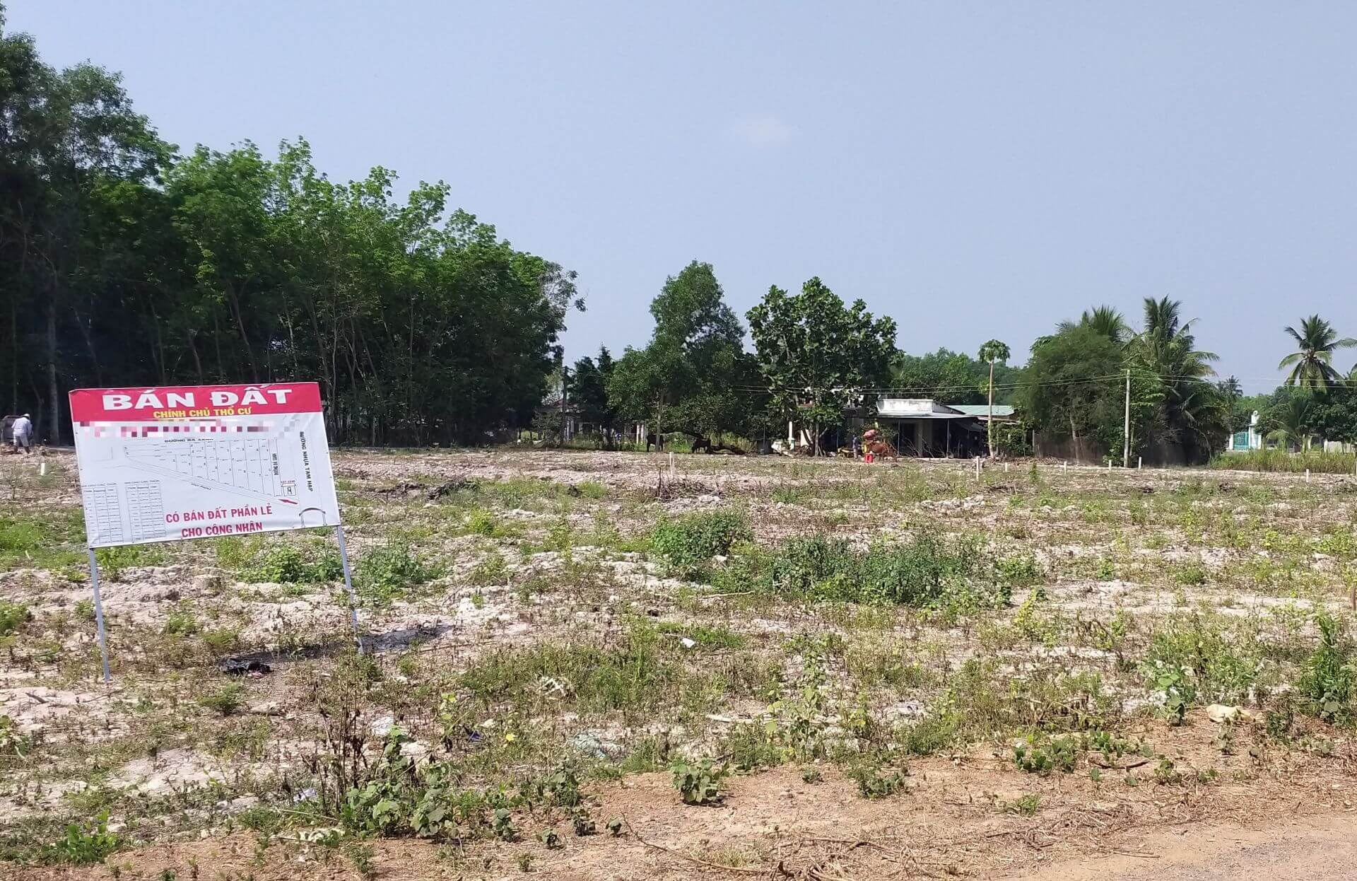 Cách nhận biết giá đất sốt ảo 1