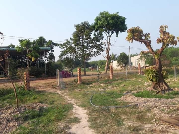 huyện Châu Thành, Tây Ninh - 2