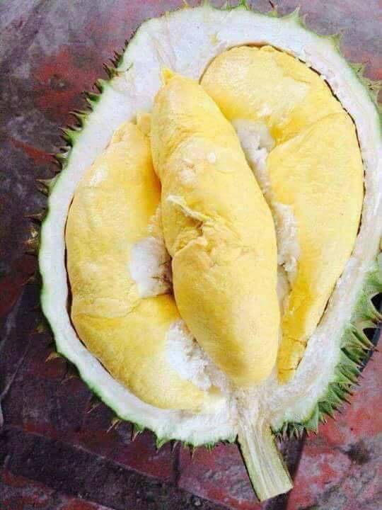 4 vườn trái cây Tây Ninh không thể bỏ lỡ khi đến đây 1