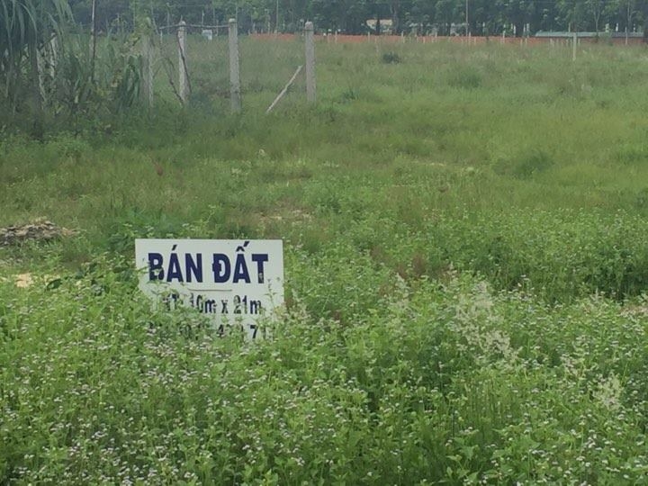 Bất động sản Tây Ninh mùa dịch - 2