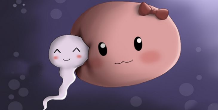 Tìm hiểu về u nang lạc nội mạc buồng trứng phải