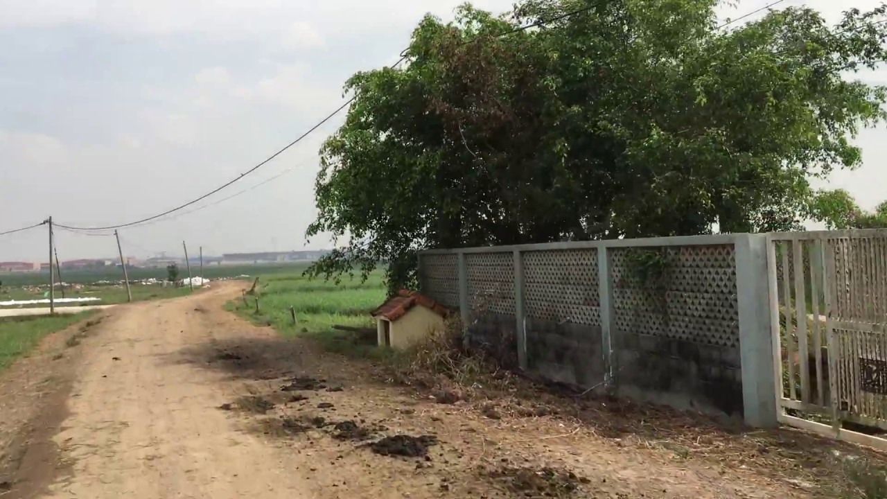 Đất vườn là đất liền kề hoặc cùng thửa với đất thổ cư