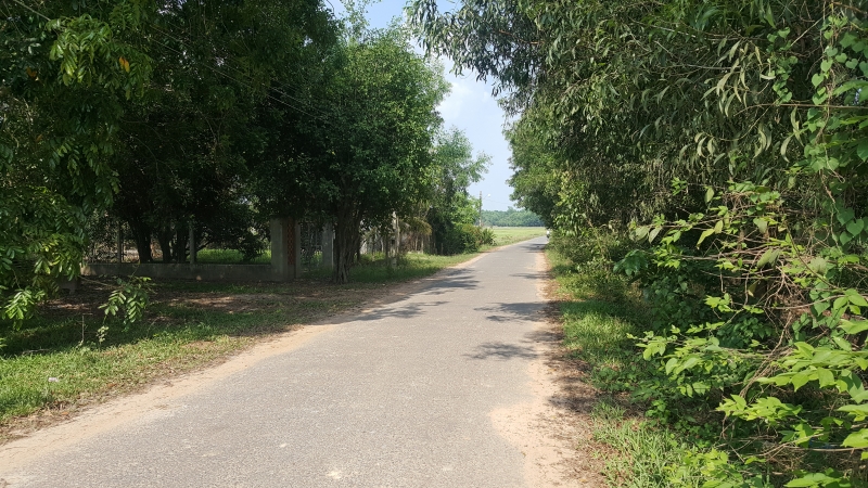 Đất nông nghiệp tại xã Trí Bình mang đến hiệu quả canh tác cao