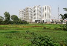 Bán đất nông nghiệp bến cầu Tây Ninh có thu hút các nhà đầu tư?