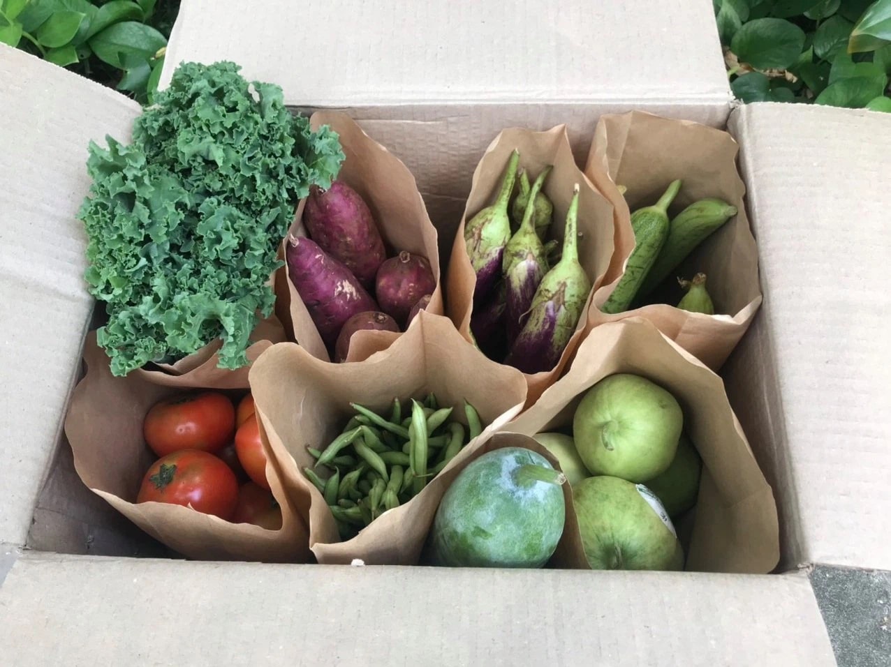 Quà tết cho bố mẹ 3