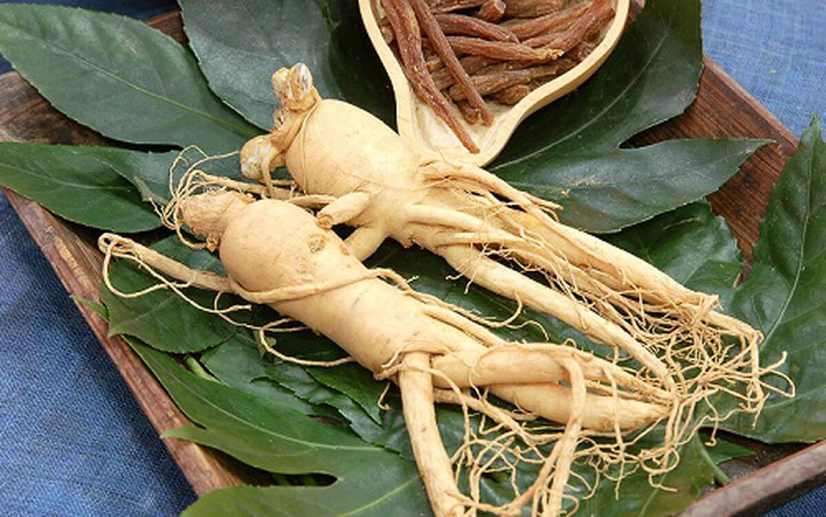 tặng quà tết cho bố mẹ người yêu 4