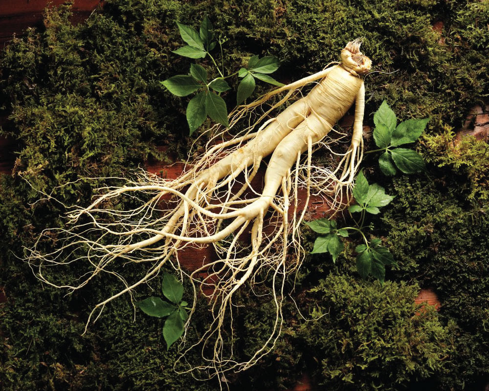 quà tết cho sếp 3