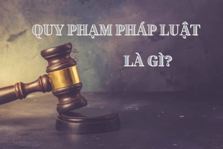 Quy phạm pháp luật là gì?