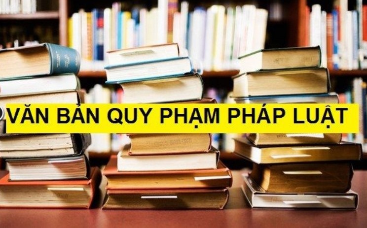 Quy phạm pháp luật là một văn bản do nhà nước có thẩm quyền ban hành