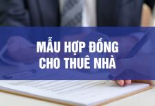Phân loại mẫu hợp đồng cho thuê nhà và điều cần lưu ý